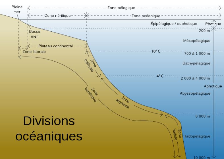 DivisionsOceaniques